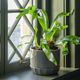 Magnolia Home by Joanna Gaines Blue 7" Crackle Planter with Fluted Saucer-4