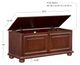 Powell® Chadwick Cherry Cedar Trunk-2