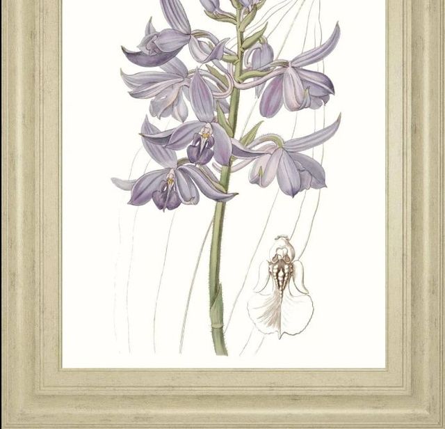 Classy Art Lavender Beauties III by Edwards Wall Art-1