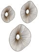 Uttermost® Avarie 3-Piece Gold Wall Decor Set-3