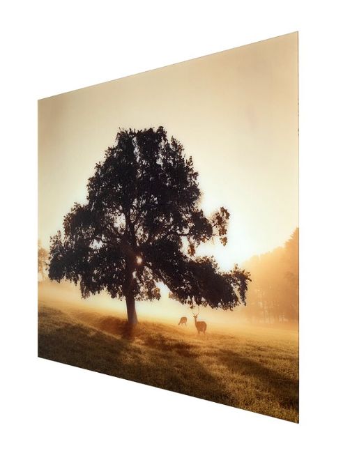 YHD First Light Wall Art-1