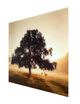 YHD First Light Wall Art-1