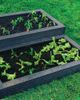 C R Plastics Driftwood Veggie Garden Expansion-5