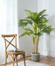 A & B Home Green 7' Fern Tree in Pot-4