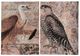 A & B Home 2-Piece Black/Brown Love Birds Wall Art Set-0