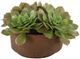 Uttermost® Sable Orchid Green/Terracotta Succulent Accent in Pot-3