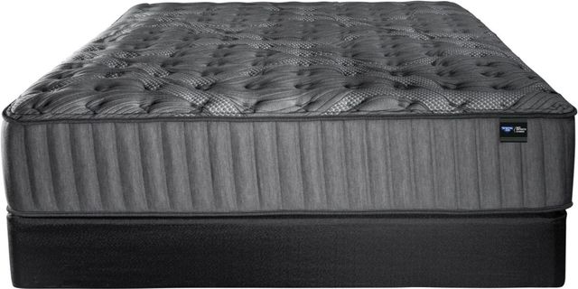 Spring Air® Back Supporter Katrina 15" Hybrid Extra Firm Tight Top Twin Mattress-2