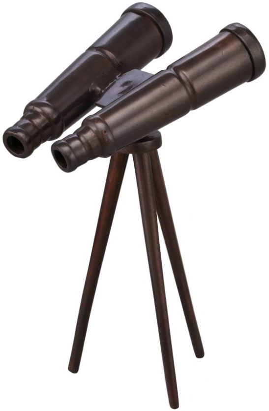 Moe's Home Collection Bronze Binoculars-1
