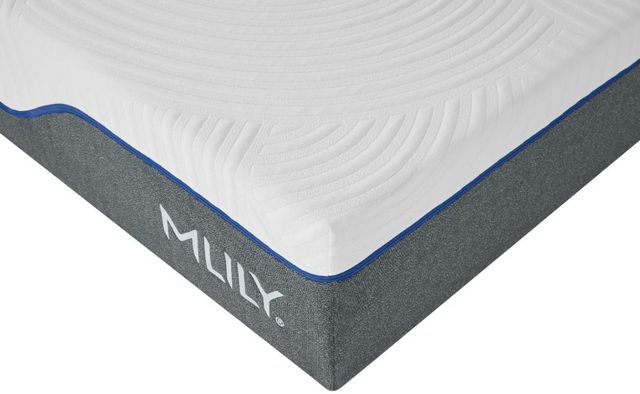 MLILY® Wellflex 1.0 Memory Foam 12" Firm Tight Top Queen Mattress in a Box-1