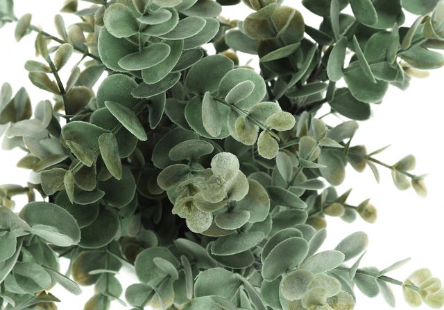 Monarch Specialties Inc. 2-Piece White 13" Tall Artificial Potted Eucalyptus Grass-2