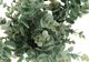 Monarch Specialties Inc. 2-Piece White 13" Tall Artificial Potted Eucalyptus Grass-2
