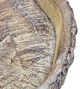 A & B Home Brown 13" Round Faux Wood Plate-2