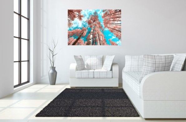 Classy Art Birch Up Wall Art-3