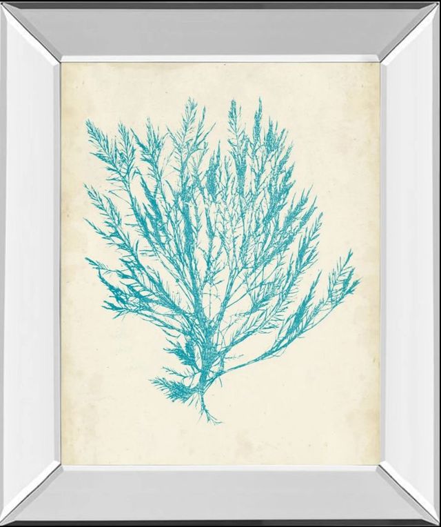 Classy Art Aquamarine Seaweed IV by Vision Studio Mirror Framed Wall Art-0