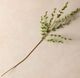 Magnolia Home by Joanna Gaines Green Mini Heart Eucalyptus Spray-0