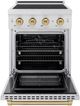 ZLINE Autograph Edition Paramount 24" Stainless Steel Pro Style Induction Range with Champagne Bronze Accents-1