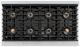 ZLINE Autograph Edition Paramount 48" 6.7 Cu. Ft. Satin Stainless Steel Gas Range with 8 Burner DuoPro™ Cooktop and Dual Ovens with Black Matte Doors and Polished Gold Accents-3