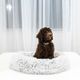 Blu Sleep Ceramo Large Pet Bed-1