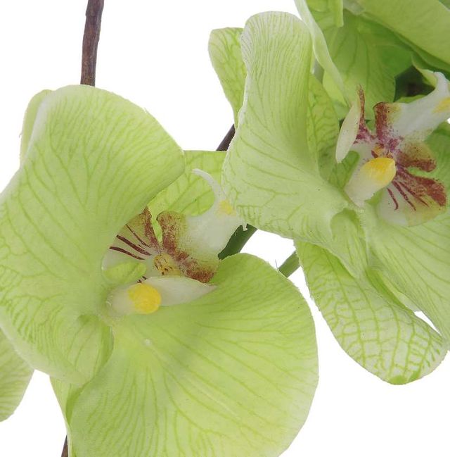 Uttermost® Valdive Green Orchid-3
