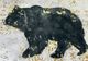 Crestview Collection Barrow Canvas Wall Painting-1