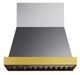 Kucht Professional 30" Stainless Steel Wall Mounted Range Hood with Gold Accents-1