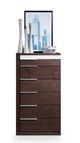 VIG Furniture Modrest Brown Chest-1
