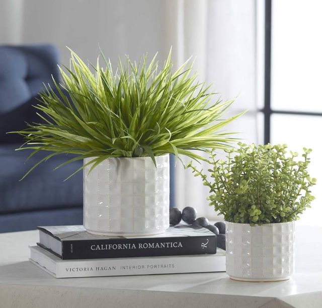Uttermost® Edgewood 2-Piece Green/White Greenery Set-1