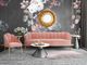TOV Furniture Daisy Petite Blush Velvet Sofa-4