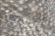 Feizy Azure Blue/Silver 5' x 8' Rug-1