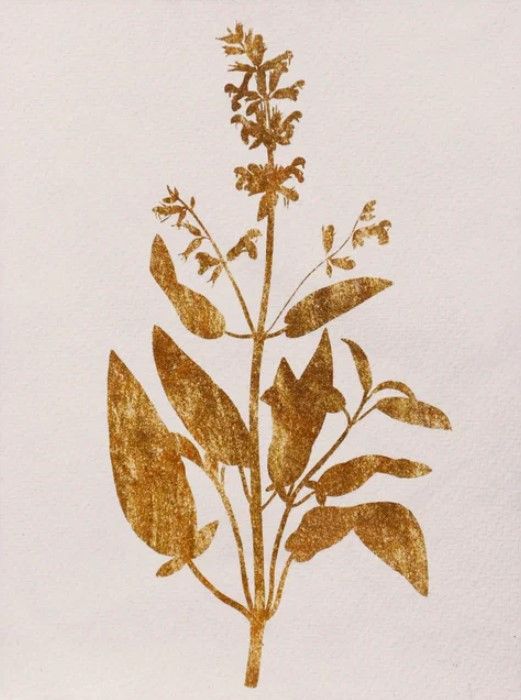 StyleCraft Pressed Foliage lll Wall Art-1