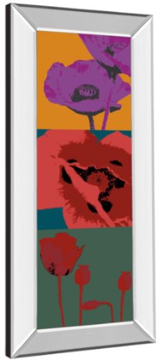 Classy Living Li-Legger, D Pop Poppies Mirror Framed Wall Art-3