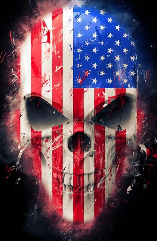 Classy Art American Skull Wall Art-0