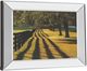 Classy Living Mike Jones Chasing Shadows 22" Wall Art-3
