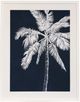 Stylecraft Blue Farm lV Framed Print-0