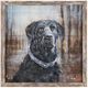Crestview Collection Man's Best Friend Wall Art-0