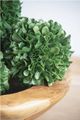 A & B Home Green 5" Artificial Boxwood Topiary Ball-3