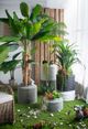 A & B Home Distressed Green 17" Ridged Cement Planter-5