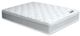 Furniture of America® Bird of Paradise Firm Hybrid Euro Pillow Top Full Mattress-0