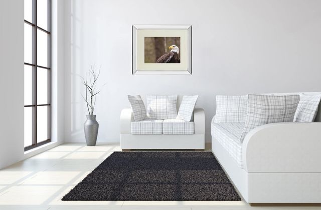 Classy Living Garytog Majestic Eagle Wall Art-1