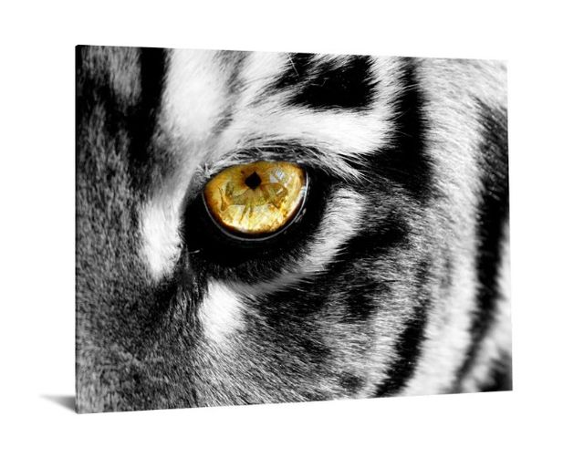 Classy Art Eye of a Tiger Tempered Glass with Foil Wall Art-1