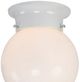 YHD White 5'' Incandescent Flush Mount Lighting-3