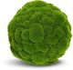 Le Present Moss Green Faux Botanical Ball-0