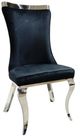 Furniture of America® Basilicata 2-Piece Black/Silver Dining Side Chair Set-0