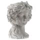A & B Home Gray Bust Wall Planter-0