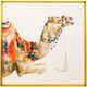Stylecraft Desert Camel Wall Art-0