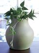Signature Design by Ashley® Baychester Antique Green Vase-2