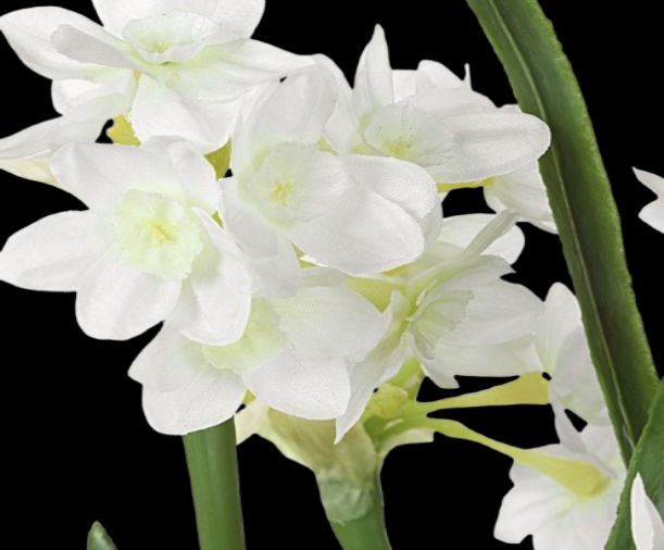 Uttermost® Lacey Daffodil White Accent Arrangement-2