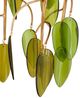 Currey & Company Midsummer Brass/Green Pendant-3