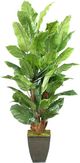 D&W Silks Spath Artificial Plant 8'-0