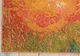Nourison Home™ Celestial Palette 5'x7' Style 27 Area Rug-2